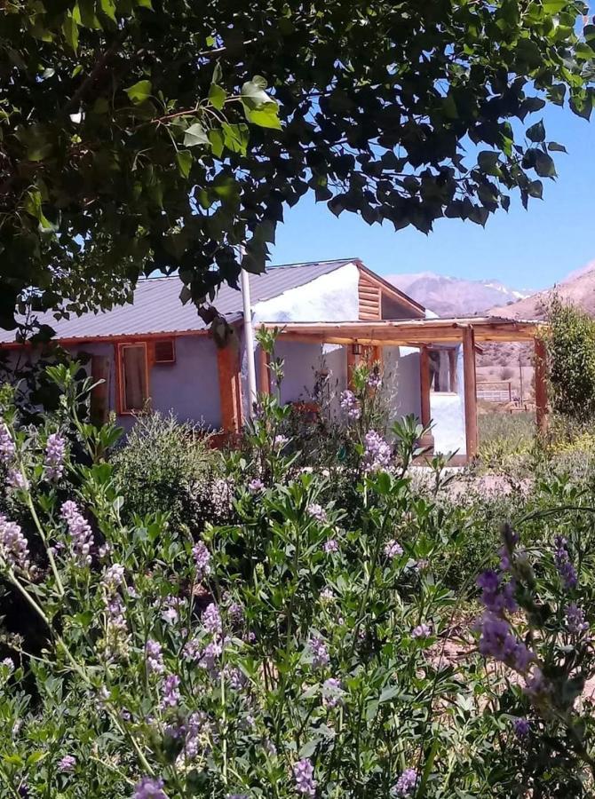 Valle Del Cielo Uspallata Exterior foto